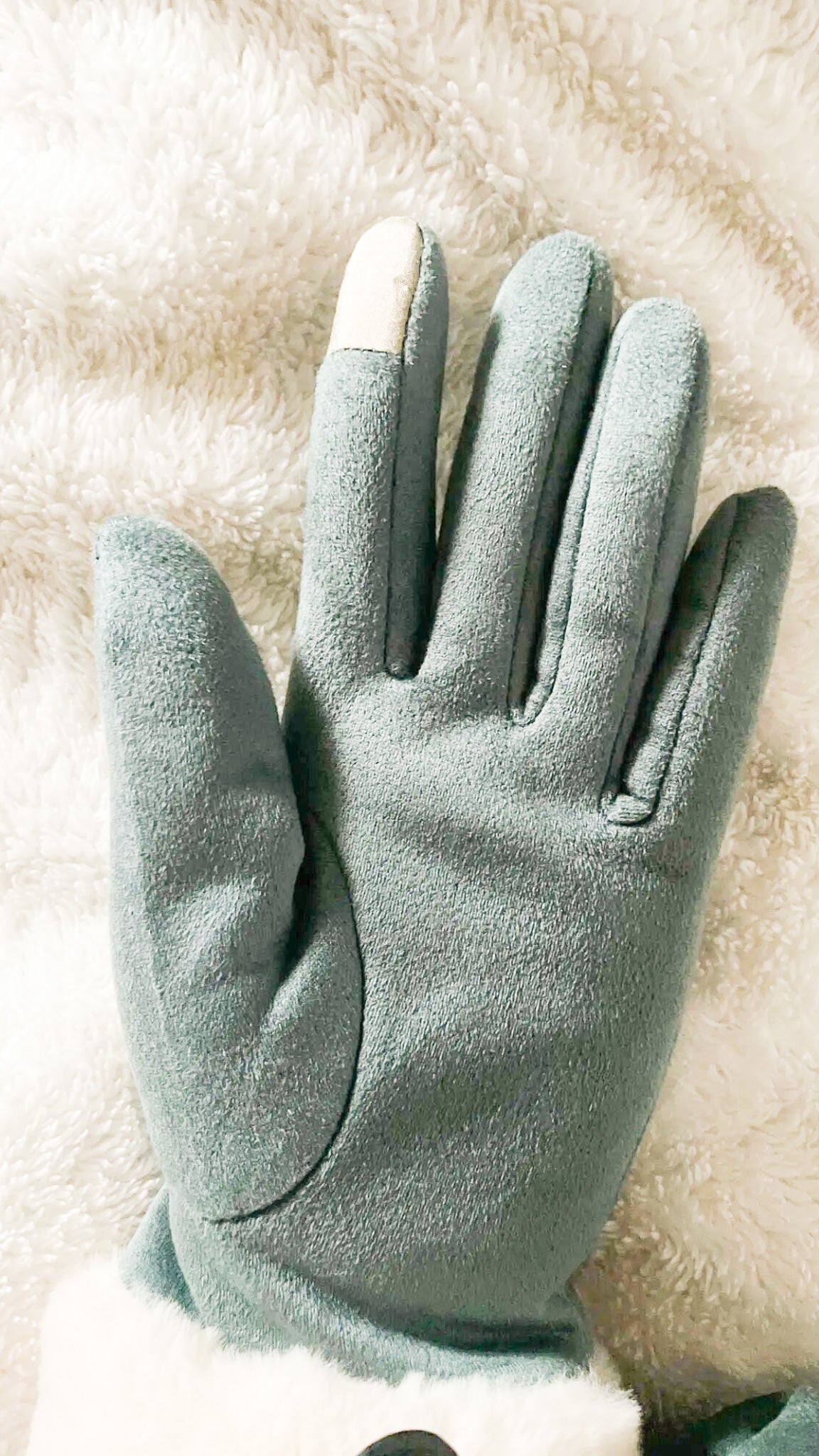 Touchscreen Winter Gloves